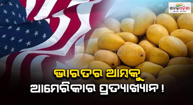 Khabar Odisha:America-rejected-15-shipments-of-mangoes-big-blow-to-India-loss-of-5-lakh-dollars