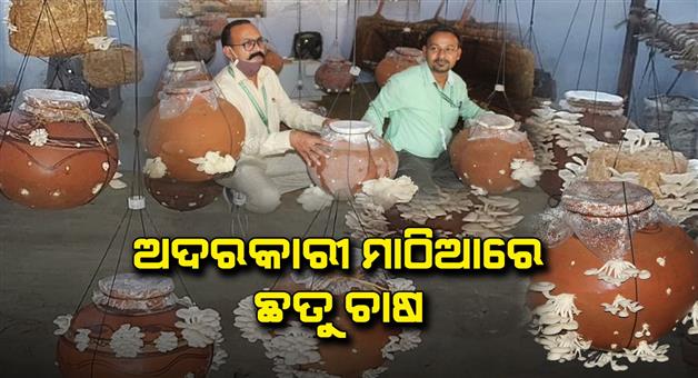 Khabar Odisha:An-agricultural-expert-from-Rajasthan-Agricultural-Research-Centre-Dr-S-K-Bairwa-Grow-Mushrooms-in-a-Pot