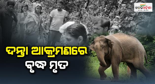 Khabar Odisha:An-old-man-died-in-an-elephant-attack-while-on-a-morning-walk
