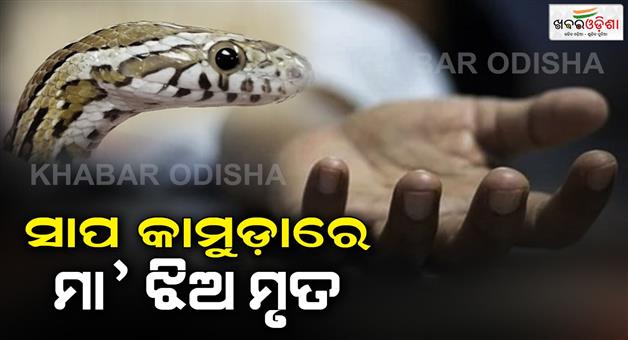 Khabar Odisha:And-two-more-lives-were-lost-in-the-snake-bite