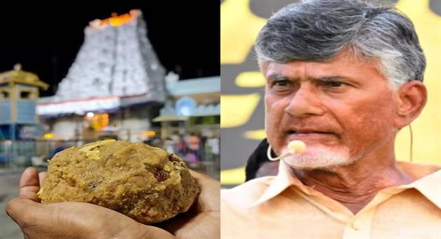 Khabar Odisha:Andhra-government-sought-response-from-Tirumala-Board-on-Tirupati-Laddu-controversy