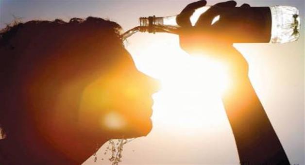 Khabar Odisha:Another-life-was-lost-by-sunstroke