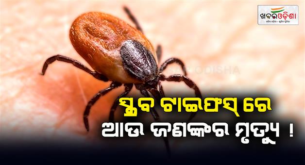 Khabar Odisha:Another-person-dies-of-scrub-typhus