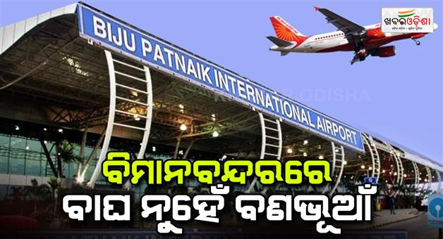 Khabar Odisha:At-the-airport-not-the-tiger-confirmed-forest-department