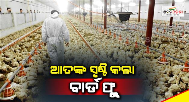 Khabar Odisha:Avian-flu-outbreak-at-Ranchis-state-run-poultry-farm-2196-birds-culled
