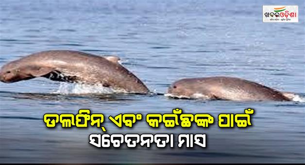 Khabar Odisha:Awareness-Month-for-Dolphins-and-Turtles