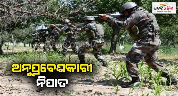 Khabar Odisha:BSF-shoot-intruder-on-India-Pakistan-border-in-Pathankot