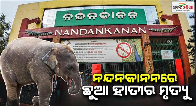 Khabar Odisha:Baby-elephant-dies-in-Nandankanan-Zoo