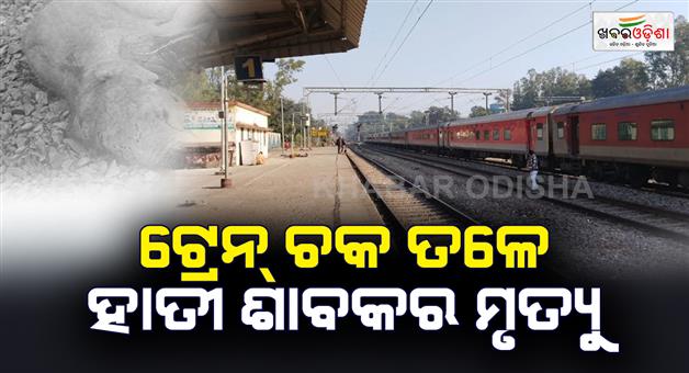 Khabar Odisha:Baby-elephant-killed-by-the-hit-Howrah-express-traveling