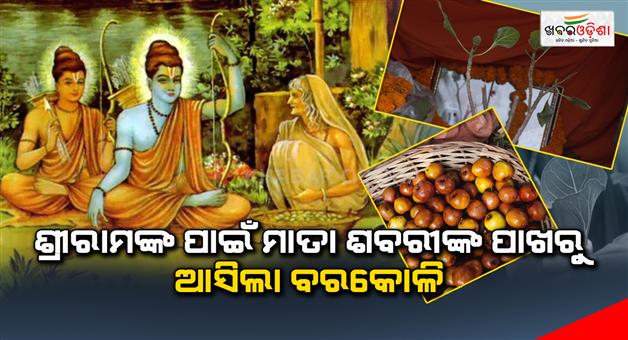 Khabar Odisha:Barkoli-came-from-Mata-Shabari-for-Sriram