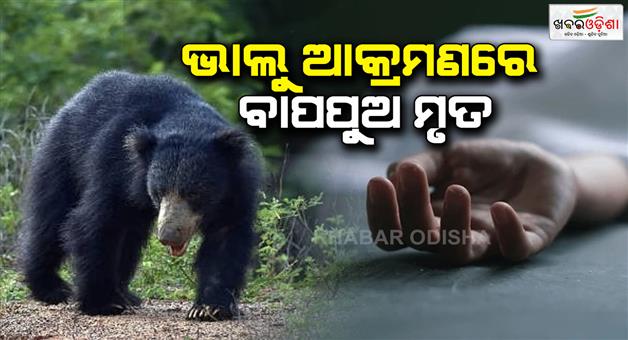 Khabar Odisha:Bear-attack--2-dead