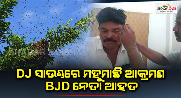 Khabar Odisha:Bee-Attack-on-DJ-Sound-BJD-leader-injured