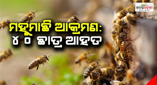 Khabar Odisha:Bee-attack-40-students-injured