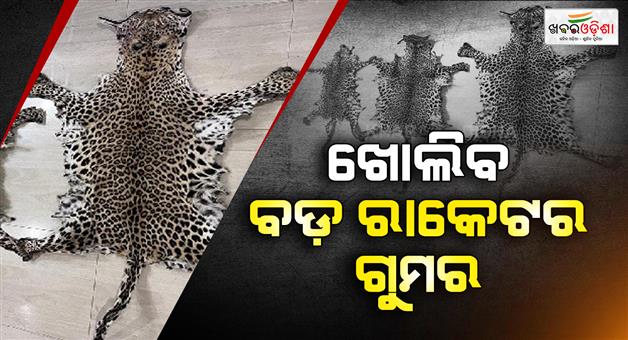 Khabar Odisha:Big-Wildlife-Smuggling-Racket-Suspected-Behind-Leopard-Skin-Seizure-in-Ganjam