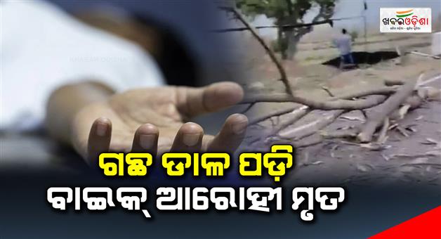 Khabar Odisha:Bike-rider-killed-by-fallen-tree