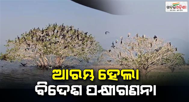 Khabar Odisha:Bird-census-starts-today-in-Hirakud-Water-reservoir