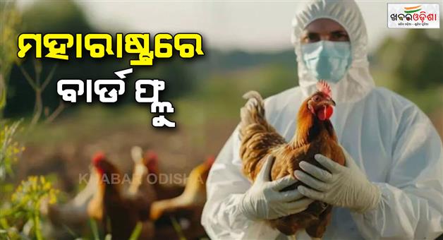 Khabar Odisha:Bird-flu-outbreak-Maharashtra-village-and-areas-around-it-declared-alert-zone