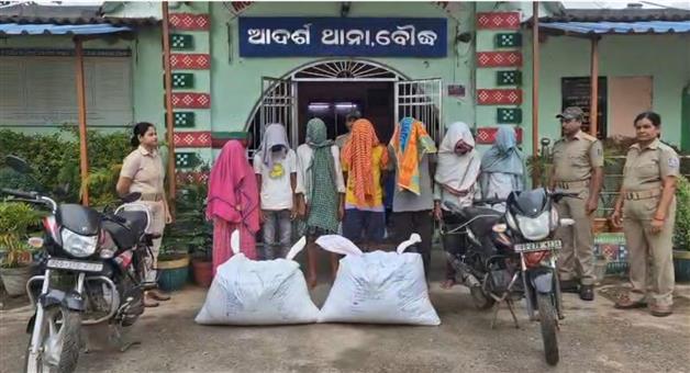 Khabar Odisha:Boudh-police-seize-ganja-accused-arrest