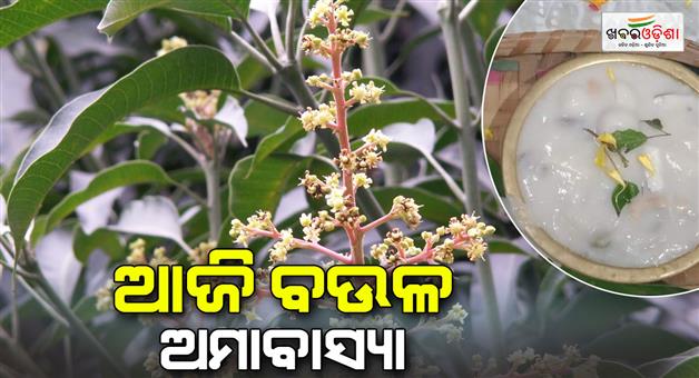 Khabar Odisha:Boula-Amavasya-is-being-celebrated-in-odisha-today