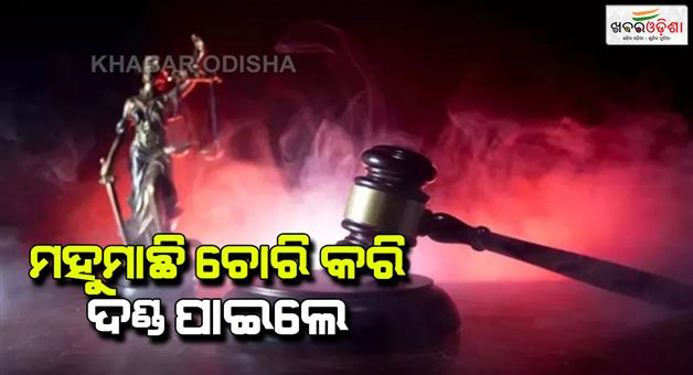 Khabar Odisha:Bulandshahr-court-sentences-man-to-4-years-in-prison-for-stealing-beehives