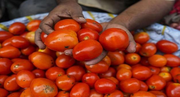 Khabar Odisha:Businessman-bites-army-personnel-over-tomato-price