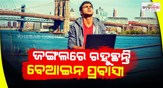 Khabar Odisha:Canada-expected-rise-immigrants-half-from-India-work-permits-expire