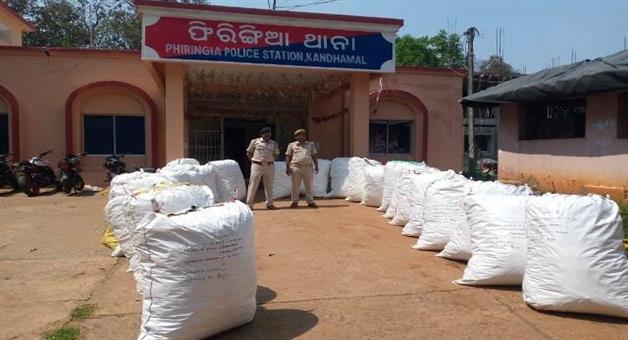 Khabar Odisha:Cannabis-seized-in-Knadhamal