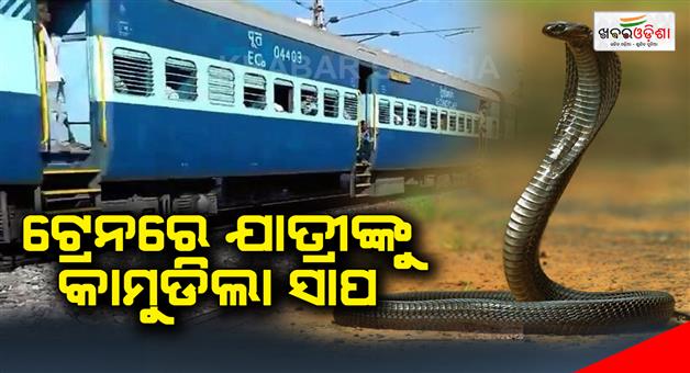 Khabar Odisha:Caution-Snake-bit-the-passenger-in-the-train