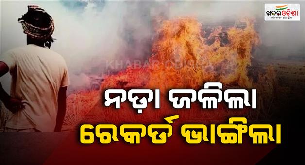 Khabar Odisha:Chandigarh-all-records-of-stubble-burning-broken-in-Punjab