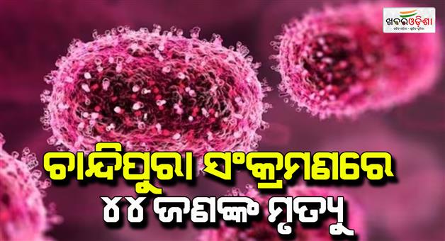 Khabar Odisha:Chandipura-virus-in-Gujarat-death-toll-and-cases-of-Chandipura-virus