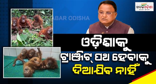 Khabar Odisha:Chief-Minister-orders-a-thorough-investigation-into-the-incident-of-the-baby-orangutan-rescue-in-Odisha