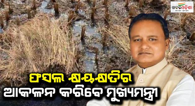 Khabar Odisha:Chief-Minister-to-assess-crop-damage-for-rain