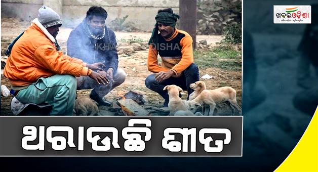 Khabar Odisha:Cold-wave-continued-in-north-India