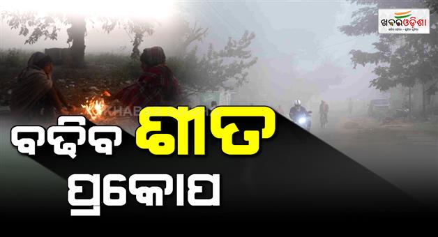 Khabar Odisha:Cold-wave-to-spread-again-Severe-cold-in-the-next-2-days-This-district-should-be-careful