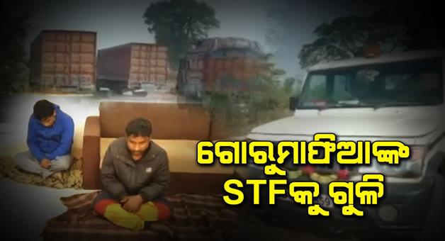 Khabar Odisha:Cow-Smugglers-firing-on-STF-during-raid