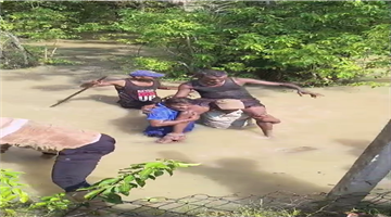 Khabar Odisha:Crocodile-attacks-elderly-man-while-he-is-catching-crabs
