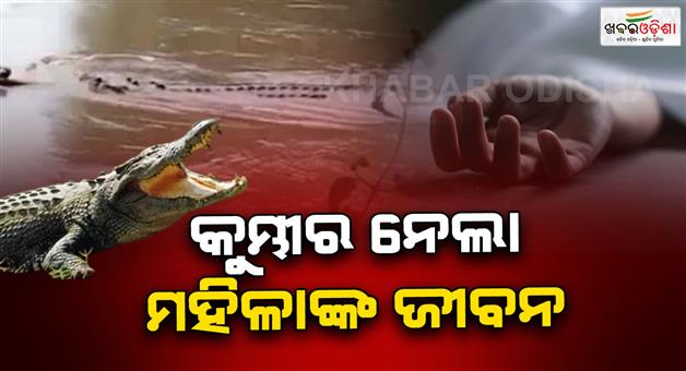 Khabar Odisha:Crocodile-terror-in-Mahakalapada-Body-of-missing-woman-found