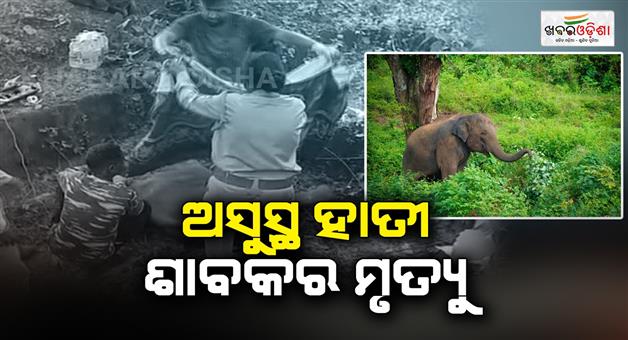 Khabar Odisha:Death-of-a-sick-elephant