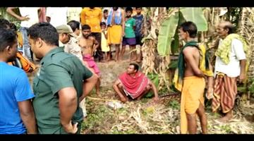Khabar Odisha:Deer-rescued-in-Bramhagiri