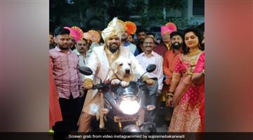 Khabar Odisha:Desi-Groom-Enters-Wedding-Venue-With-Pet-Dog-On-A-Bike-Video-Is-Viral-Obviously