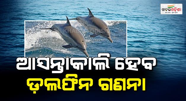 Khabar Odisha:Dolphin-census-to-be-held-in-Chile-for-3-days-starting-tomorrow