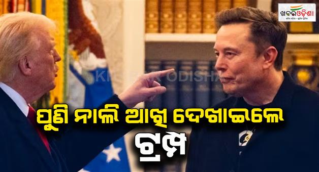 Khabar Odisha:Donald-Trump-fire-on-Tesla-CEO-Elon-Musk-lost-his-mind-not-interested-to-talking