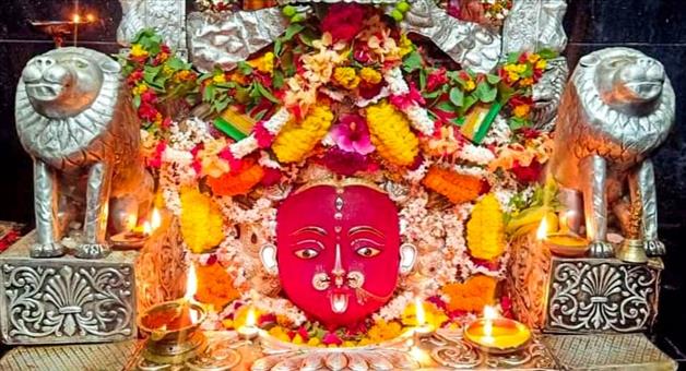 Khabar Odisha:Donation-box-of-the-Maa-Majhighariani-temple-opened