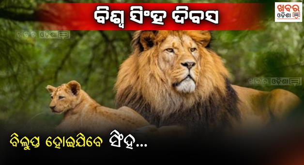 Khabar Odisha:Due-to-rapid-deforestation-and-illegal-hunting-the-number-of-lions-is-decreasing