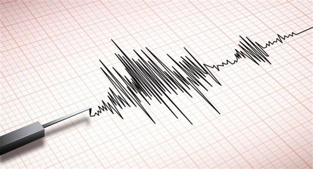 Khabar Odisha:Earthquake-of-magnitude-65-strikes-Japans-Bonin-Islands-USGS-says