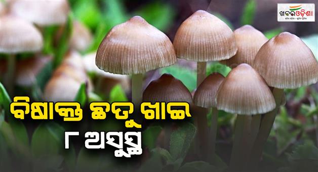 Khabar Odisha:Eight-members-of-two-families-fall-ill-after-consuming-poisonous-sauce-All-admitted-to-hospital