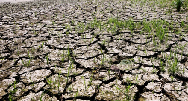 Khabar Odisha:El-Nino-Danger-Scientists-Warn-Huge-Risk-to-India-and-Global-Population