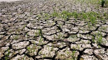 Khabar Odisha:El-Nino-Danger-Scientists-Warn-Huge-Risk-to-India-and-Global-Population