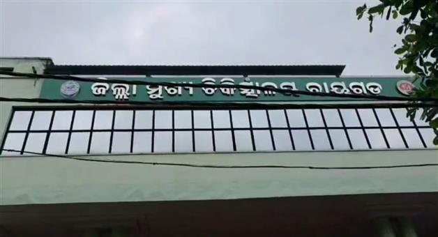 Khabar Odisha:Elderly-man-critically-injured-in-a-bear-attack