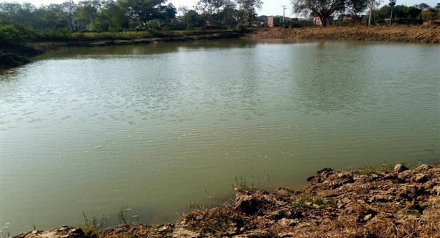 Khabar Odisha:Elderly-man-drowns-in-pond-village-plunged-into-grief